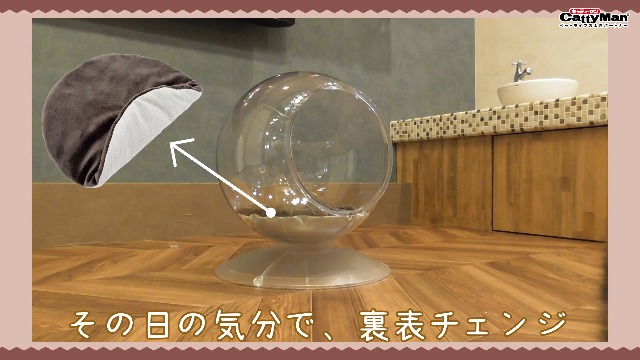 Amazon | キャティーマン (CattyMan) Clear spot 猫用ハウス